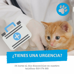 urgencias veterinarias exóticos